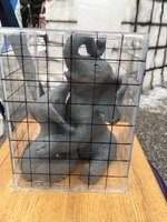 Snowfest 2018