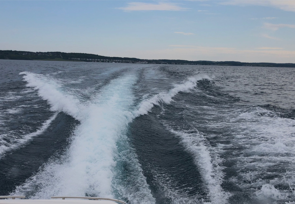 In the Wake