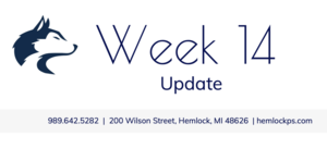 Week 14 - Update