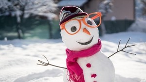 The Future of Snow Days